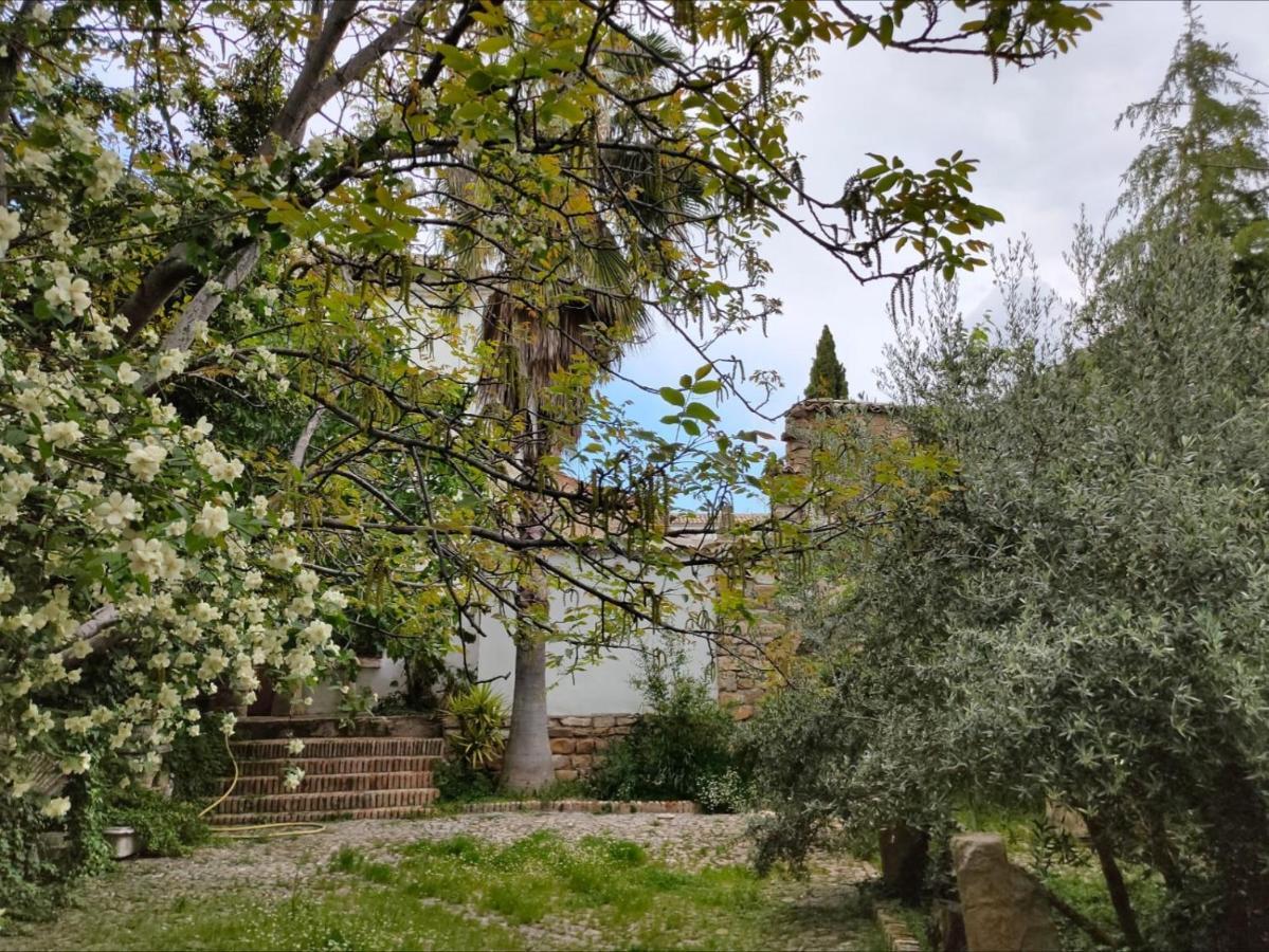 Casa Palacio El Caballero De Malta Ubeda  Bagian luar foto